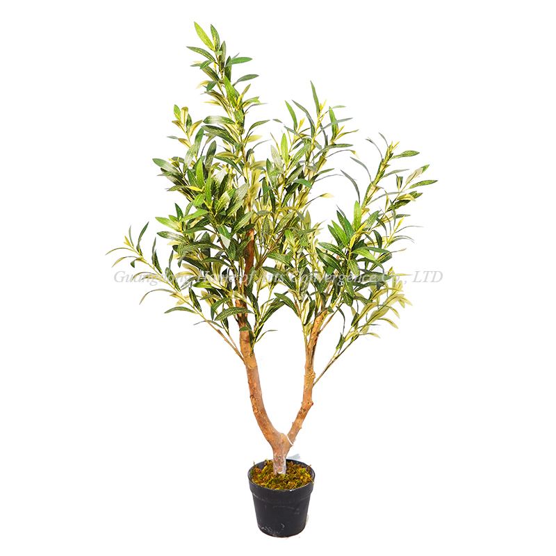 4ft fo bonzay pye oliv