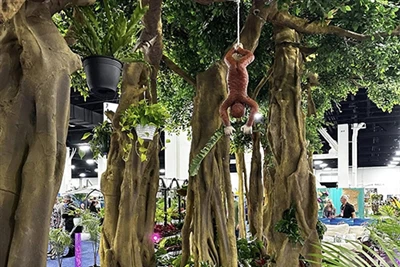 Ka Kanadyen One Tree Forest