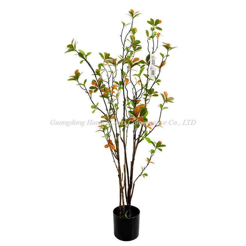 Reyalis plant andedan kay la