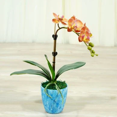 Orange Artificial Butterfly Orchids Pati Evènman Lovely Plant Supplier