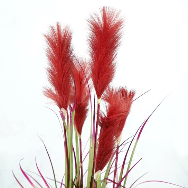Burgundy Red Artificial Reed Grasses Potted Plant