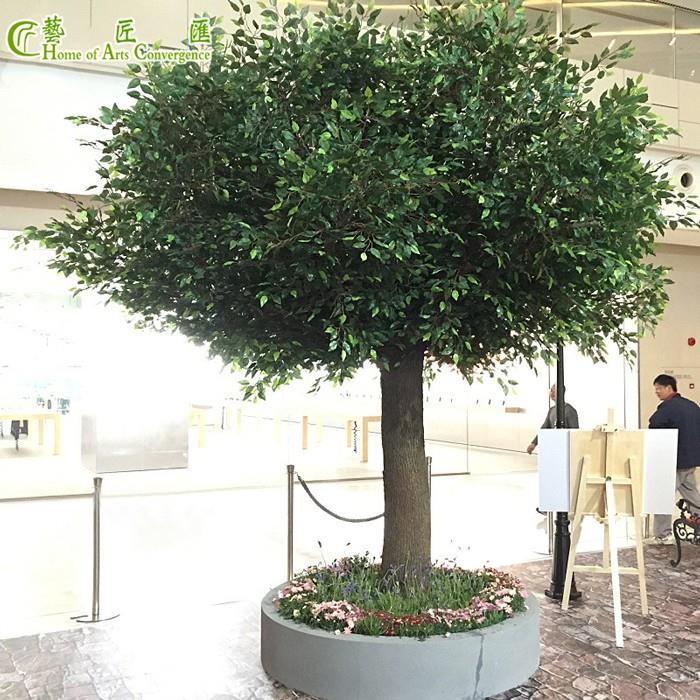 Fake Ficus Tree