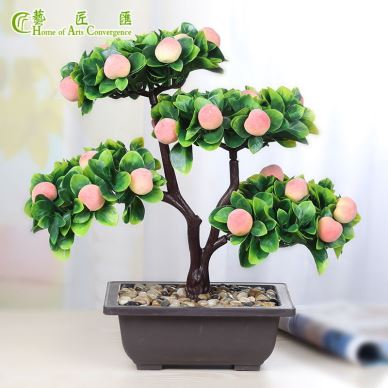 Mini Fwi fo Bonsai Tree