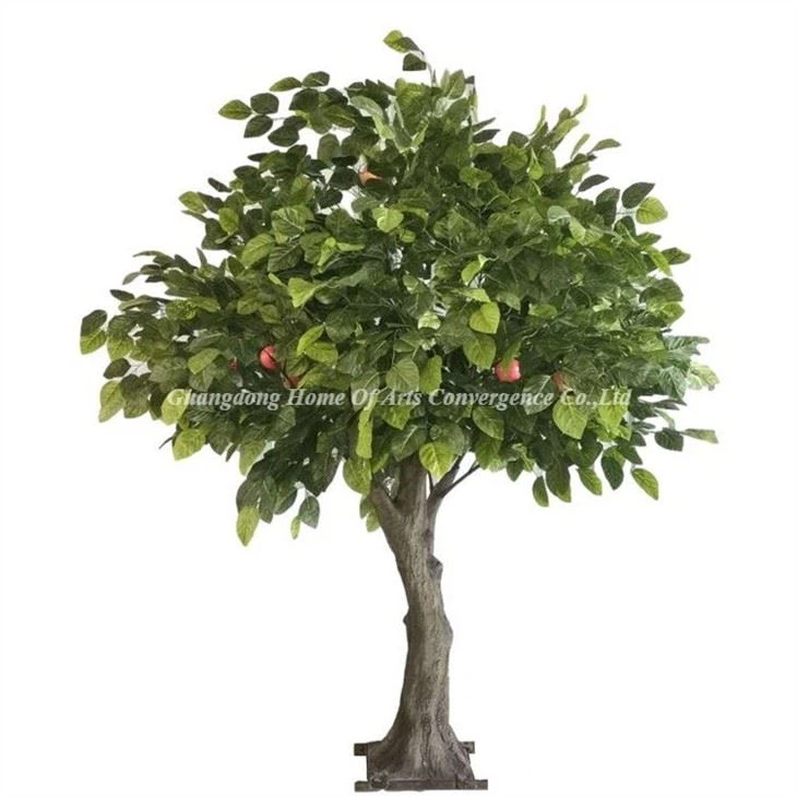 Dekoratif Giant Fo Pye bwa Apple